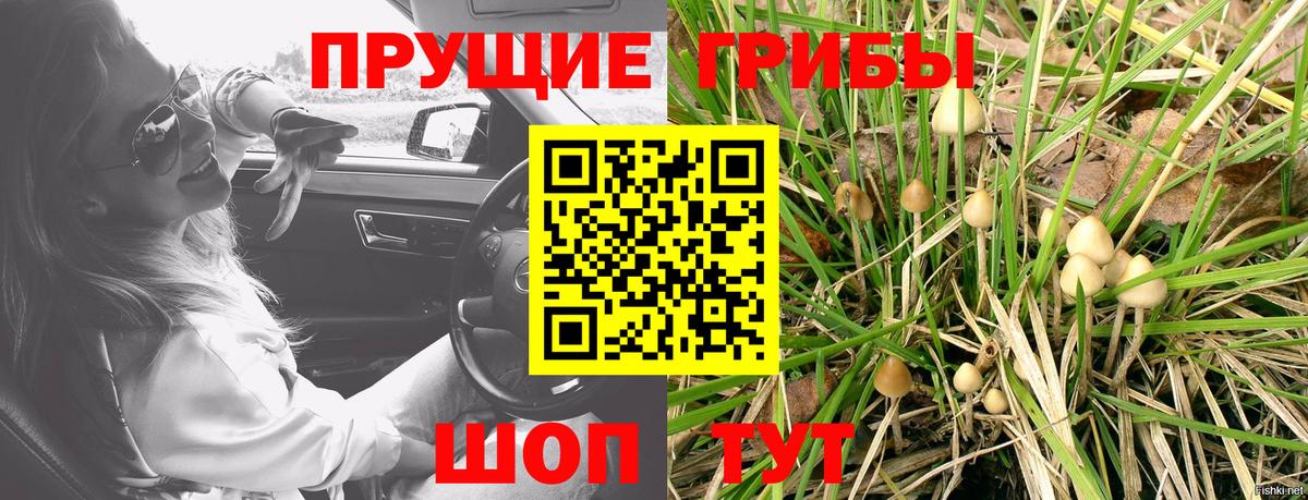 Псилоцибиновые грибы ЛСД Кириши